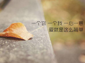 没必要挽回的爱情,不值得挽留的情感