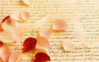 女子挽回男友的诗句,用诗歌挽回爱情，女子“情诗”感动男友