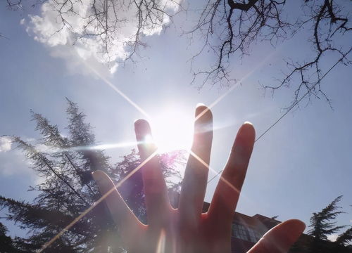 爱你无法挽回的意思，挽回无望，爱已破碎