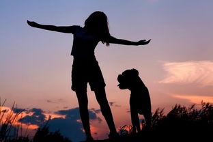 迪庆爱情挽回专家热线,迪庆爱情挽回热线，挽救婚姻感情