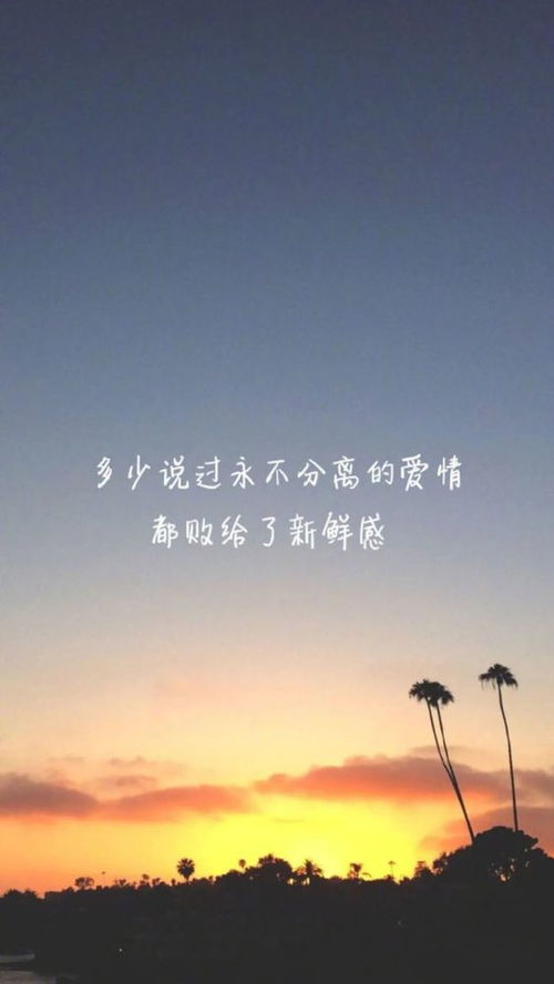 挽回爱情语录文案励志,爱情没有终点，这些语录励志你重拾爱的勇气