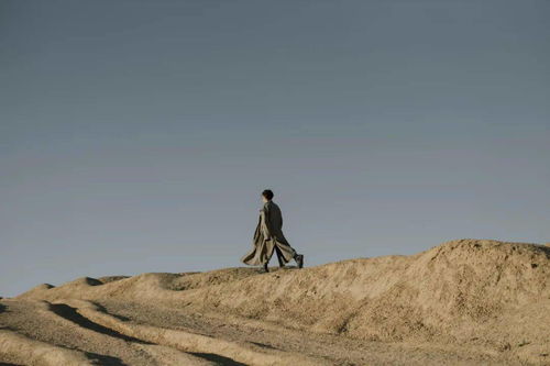 明明还爱着不再挽回,爱已不回头：明明还爱着的坚定决绝