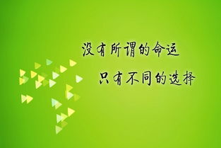 挽回感情的黄金期,争取挽回，时机关键