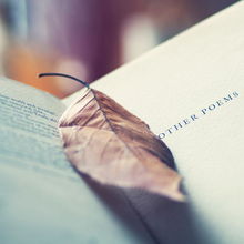 犯过错误不能挽回,错误总是太晚才认识——重新命名不可挽回的失误（36字）