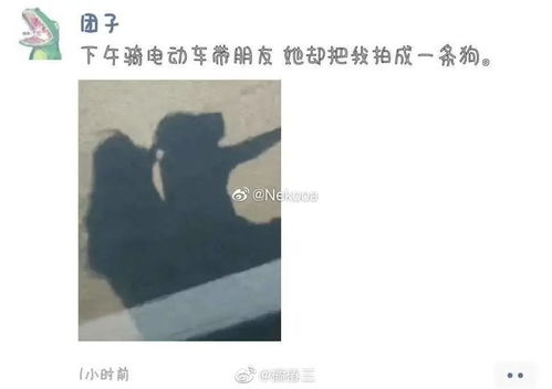 如何挽回屏蔽自己的人,如何重新赢回屏蔽你的人的信任？