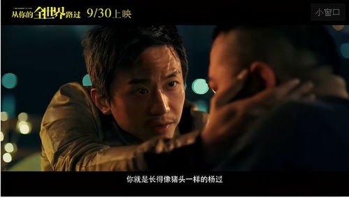 帮猪头挽回燕子视频,燕子视频大火，网友喊话：请猪头再次参演