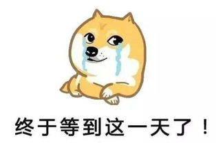 挽回分手表情包,如何用表情包挽回分手