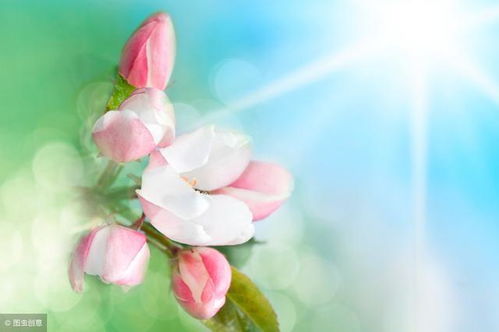 挽回爱情的花心说说,成功挽回花心对象的技巧