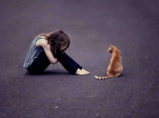 对方死心后怎么挽回，如何让对方心灰意冷后重新爱上你