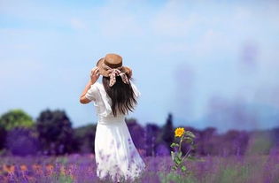 情感挽回老师微信,挽回爱情微信教程