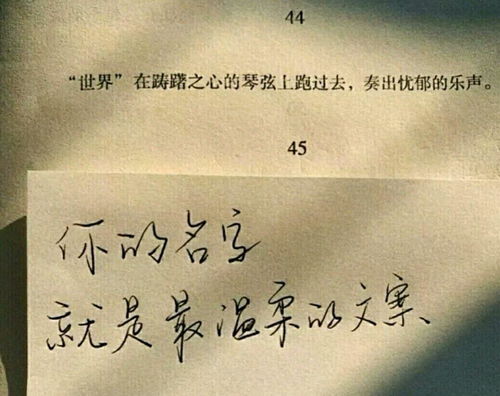 挽回壁纸文案爱情语录,挽回爱情，壁纸配文必看！