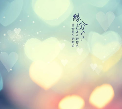 卑微挽回不了爱情句子，《繁花落尽，情缘何归》