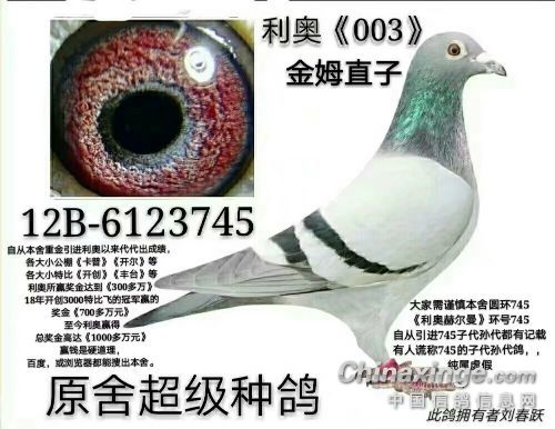 被鸽了怎么挽回,标题修复，成功挽回！