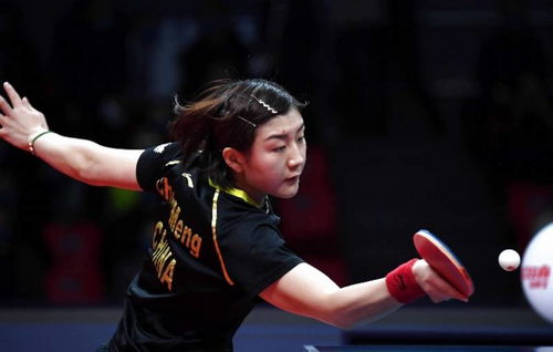 陈梦怎么挽回球球，如何让球球回到陈梦身边？