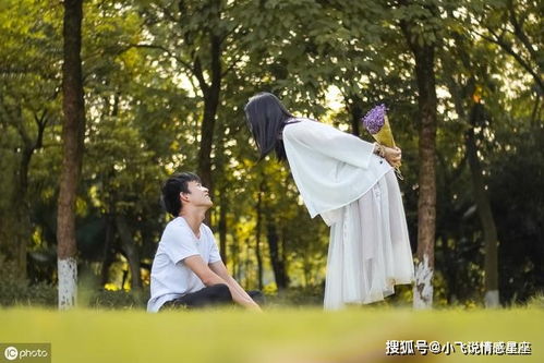 白乾笙挽回采薇,白乾笙挽回采薇，荡涤爱恨余温