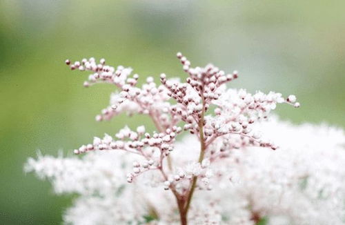 挽回水瓶前任,成功挽回水瓶座前度：情感修复计划