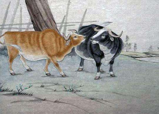 狮子女死心怎么挽回,如何挽回失去的狮子女