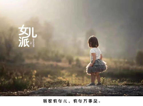 回忆挽回爱情的文案,挽回爱情的秘密技巧