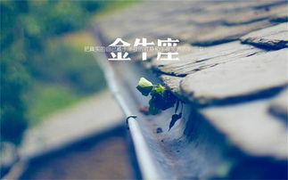 挽回决绝的天秤男,挽回决绝的天秤座男生，技巧get！