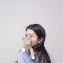 挽回女友的qq头像,挽回爱情：男生在QQ头像选用挽回女友的方式