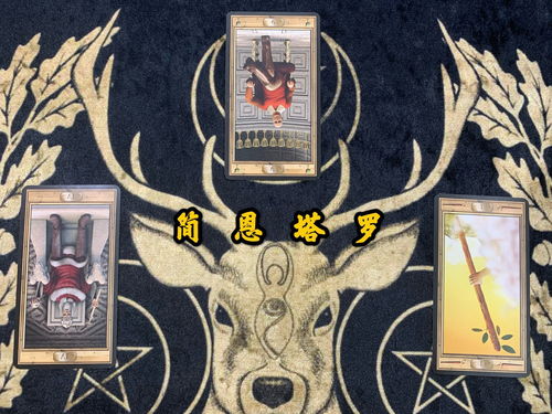 塔罗牌星座挽回感情,星座牌挽回感情