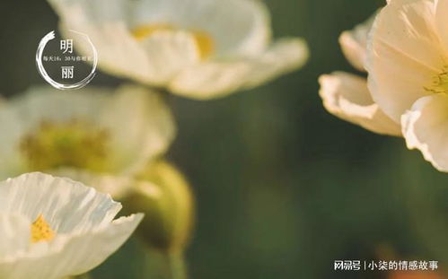 挽回婚姻花了10万,挽回婚姻花10万，我做到了