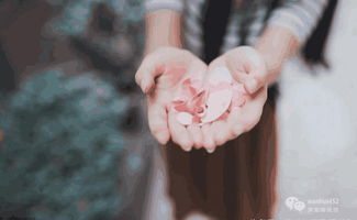 真性分手后很想挽回,分手后的挽回真心想再次尝试