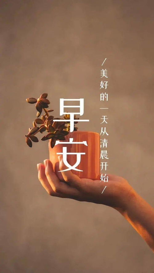 尽力挽回经典语录,经典语录濒临失传，挽回不易