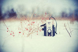 厦门有效挽回感情办法,厦门哪些挽回感情的方法最有效？