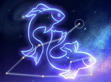 挽回双鱼男最佳时间,如何在最佳时间挽回双鱼男——新标题