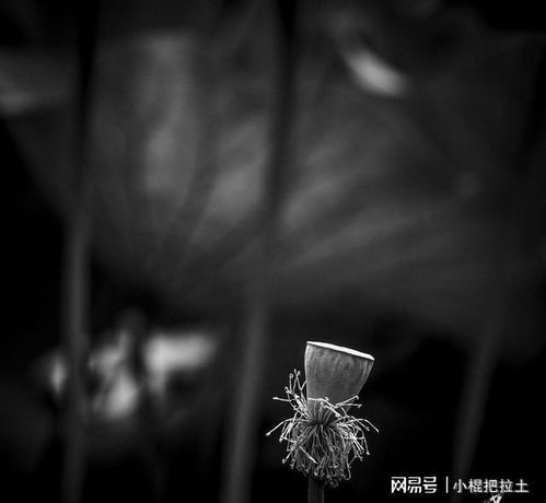 沙漏挽回爱的语句,重回旧爱的倒计时