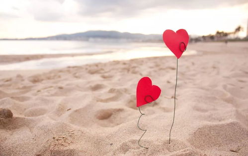 哪种出轨能挽回原谅,如何重新赢回伴侣：出轨后的自我反思