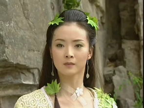 白飞飞挽回沈浪,白飞飞成功挽回沈浪