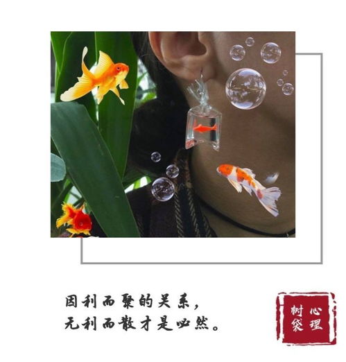 高姿态挽回是什么,用高姿态挽回爱情