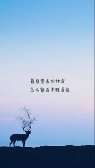 挽回失去勇气的句子,重新振作，重拾勇气