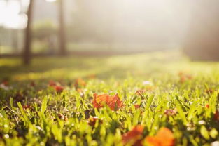 天磊想挽回小菊,天磊努力挽回小菊的心