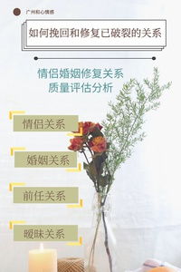 失去的关系怎么挽回,如何挽回破裂的关系
