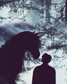 爱无力挽回文案,爱已逝，无力挽回