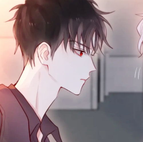 破镜重圆挽回小受,小受被挽回：爱情重燃