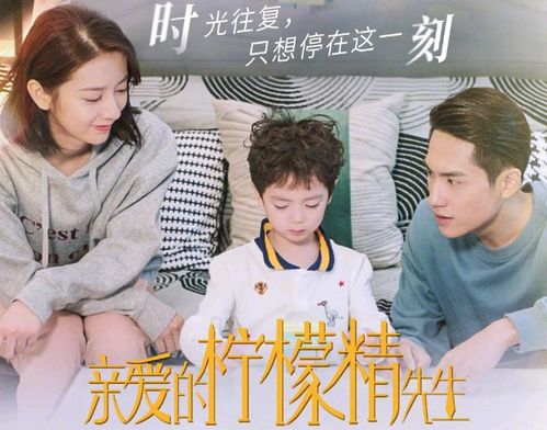 总裁挽回我小说全文阅读，揭秘总裁个人魅力，畅读挽回爱情小说