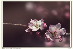 挽回十二星座男心,十二星座男心挽回攻略