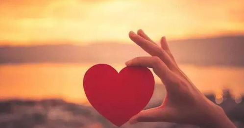 没肉体关系有挽回,挽回关系：恢复当事人间的友谊