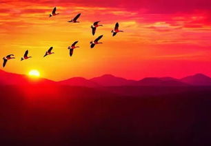 只为挽回脚步什么歌,挽回心情必听的歌曲