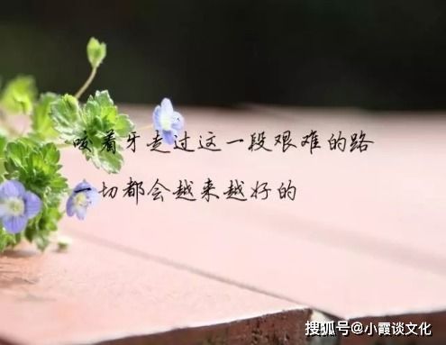 挽回友情唯美句子短句,修复友谊