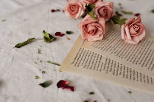 挽回婚姻的唯美诗句,爱的真谛，谁也替代不了