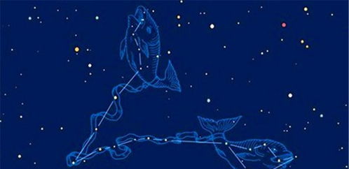 感情挽回白羊运势天蝎,如何让白羊座和天蝎座重修旧好