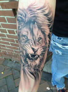 无力挽回狮子纹身女生,失去的狮子纹身女孩