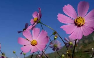 如何挽回天蝎男生,如何成功挽回天蝎男？