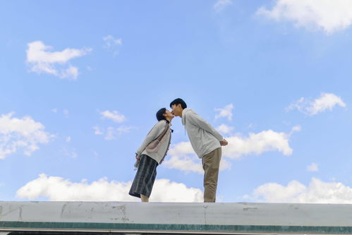 追求感暴露怎么挽回,挽回爱情，揭秘男女本质