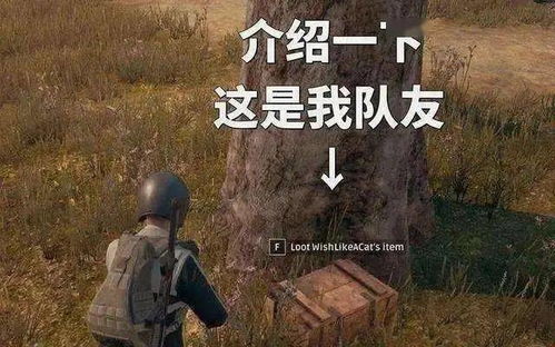 壮士断腕挽回视频,用断腕求生重修标题：男子用断臂绝地反击，打破个人极限！